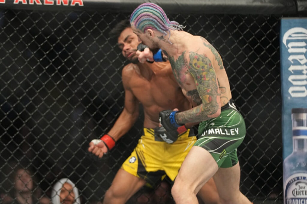 UFC 269: Sean O'Malley vs. Raulian Paiva