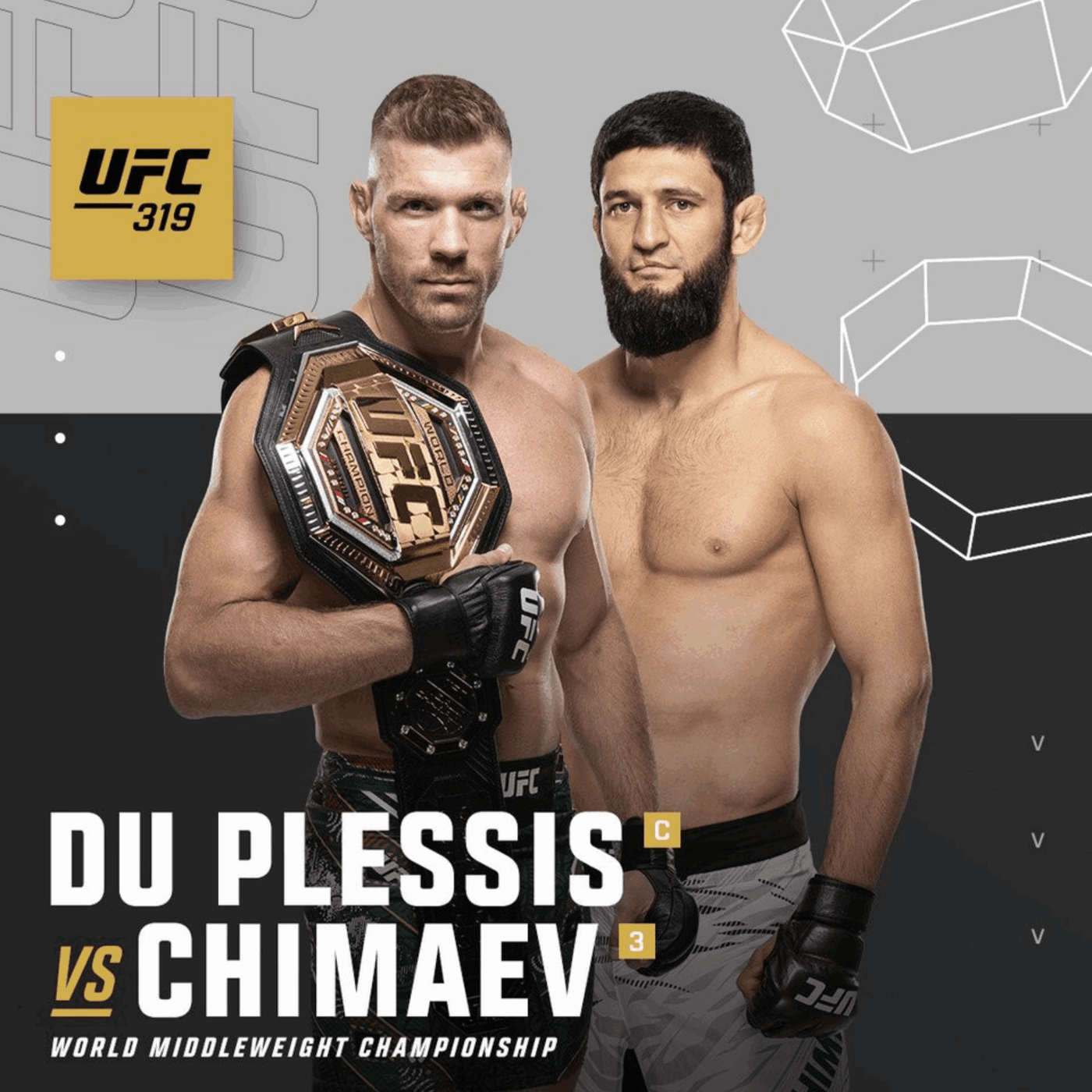 UFC 319 poster
